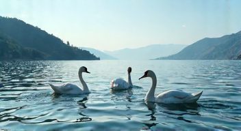 Soziale Dynamiken auf dem Wasser (6/10)